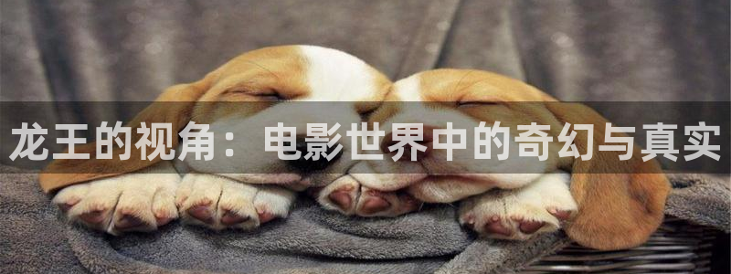樱花视频在线播放