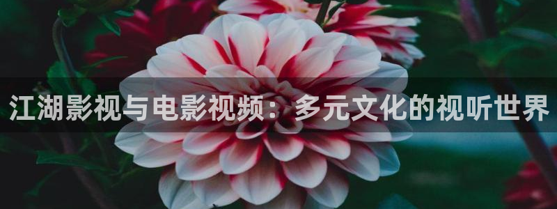 樱花视频 视频