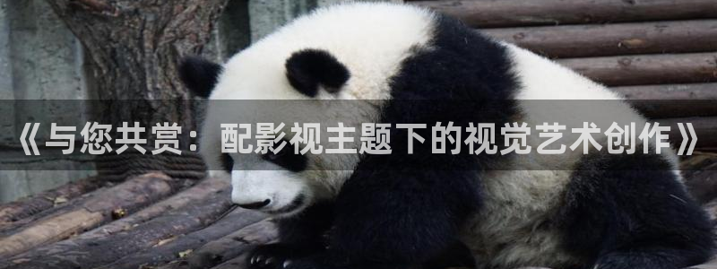 樱花影院网站在线观看电视剧