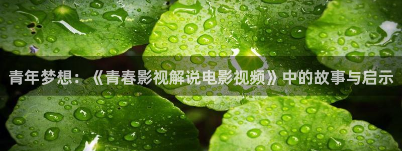 樱花影院电视剧高清在线观看