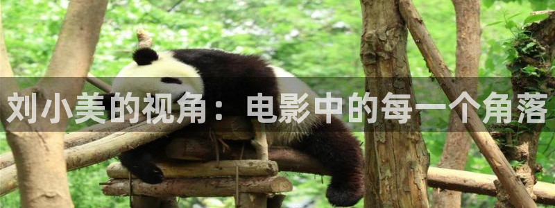 樱花视频logo