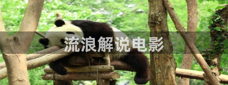 午夜樱花视频在线观看