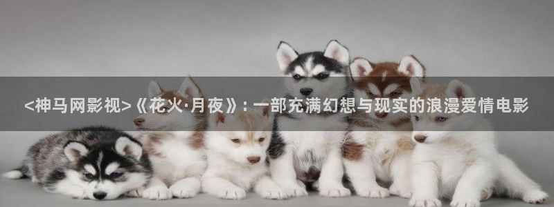 凹凸世界第四季樱花视频