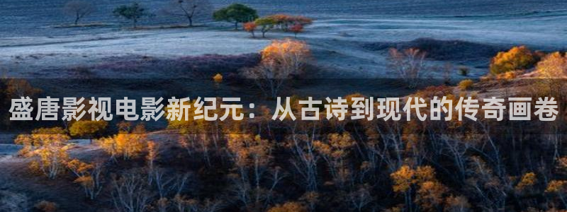 免费看的樱花视频