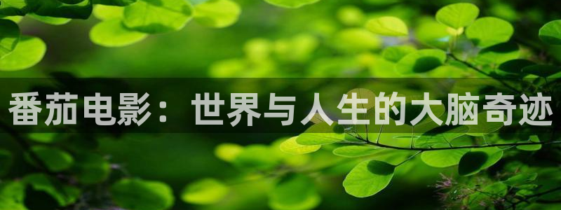 樱花影视在线观看电影免费完整版
