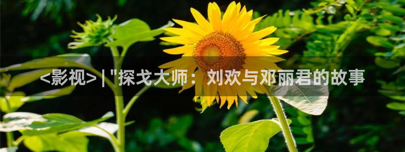 樱花影院在线观看高清电视剧免费版