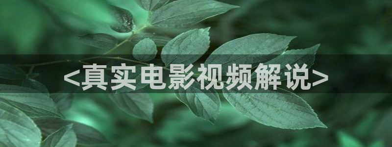 樱花影视院在线观看电视剧