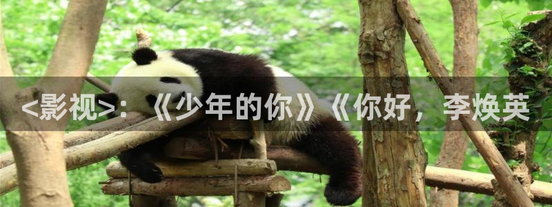 樱花视频最新地址