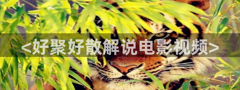 樱花视频在线观看免