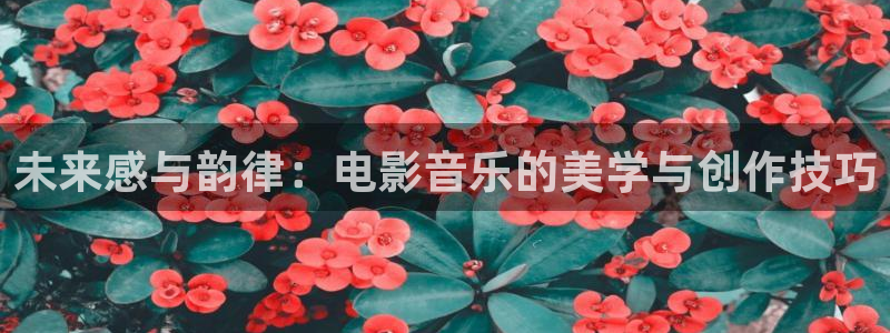 樱花影院理论片