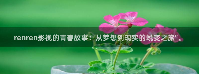 缘之空樱花视频