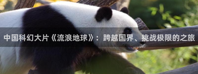 樱花视频热播剧排行榜