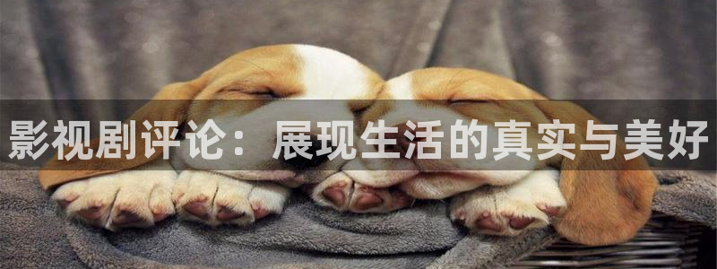 樱花视频网站