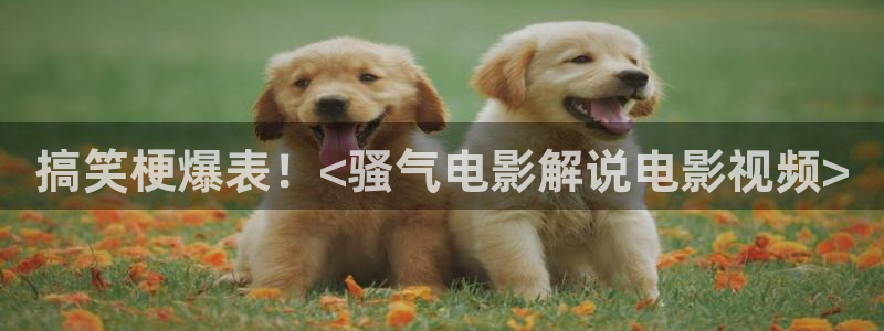 樱花影院网站在线观看电视剧