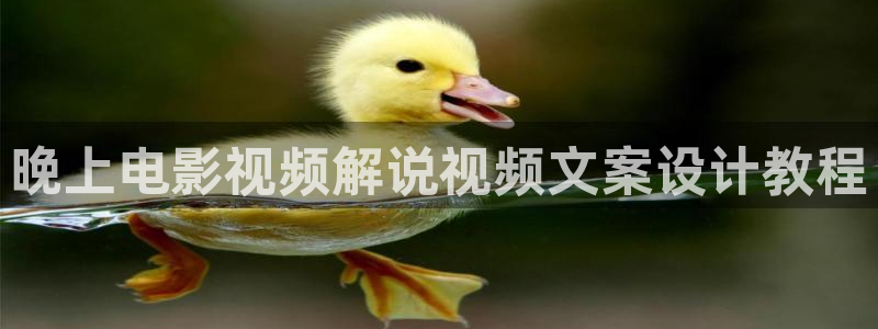 无锡鼋头渚樱花视频