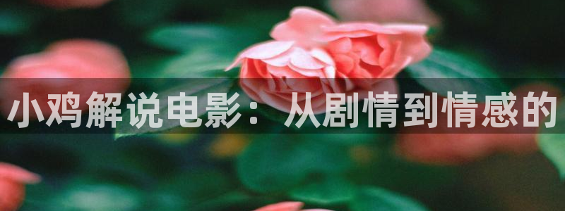 樱花视频在线免费观看视频