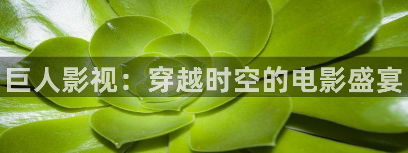 樱花影视免费在线看电视